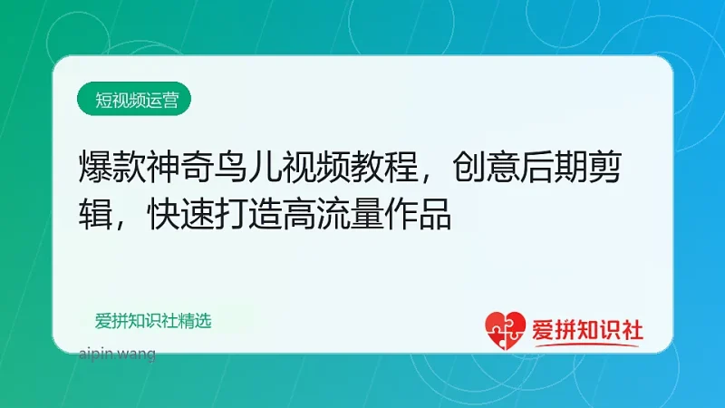 爆款神奇鸟儿视频教程，创意后期剪辑，快速打造高流量作品-爱拼知识社 - 互联网创业与虚拟资源分享