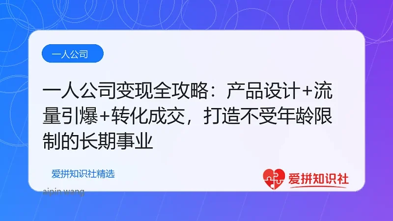 一人公司变现全攻略:产品设计+流量引爆+转化成交,打造不受年龄限制的长期事业-爱拼知识社 - 互联网创业与虚拟资源分享
